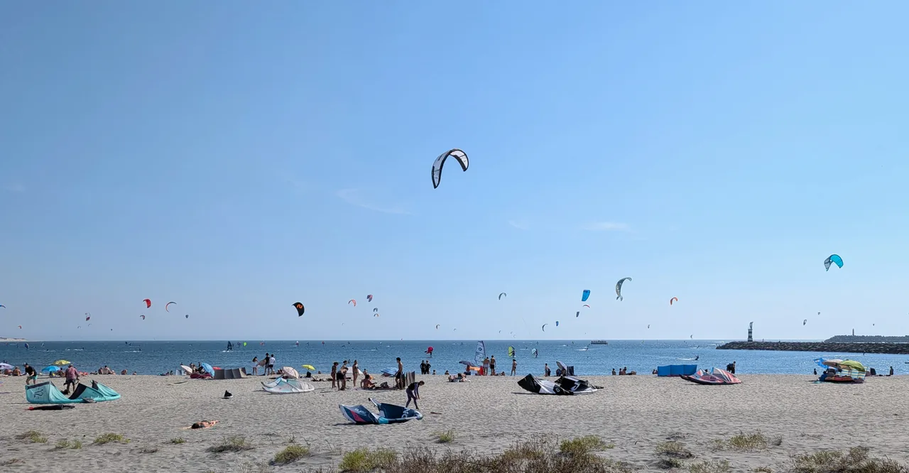 Kites above the sea and riders preparing their equipment on the beach